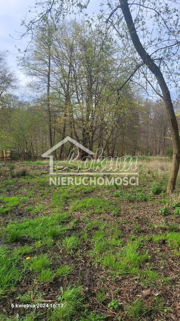 Działka inwestycyjna 4,16 ha, Sierakowo - zdjęcie 5