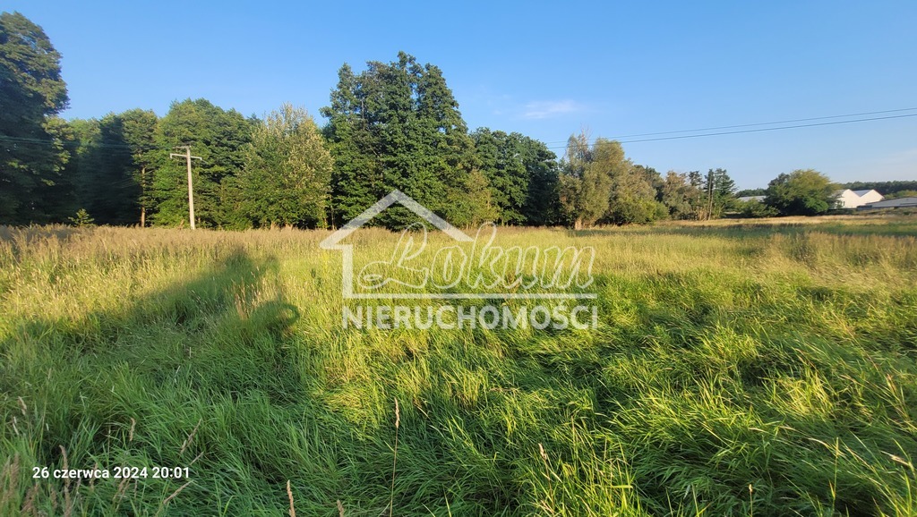 Działka inwestycyjna 4,16 ha, Sierakowo - zdjęcie 1