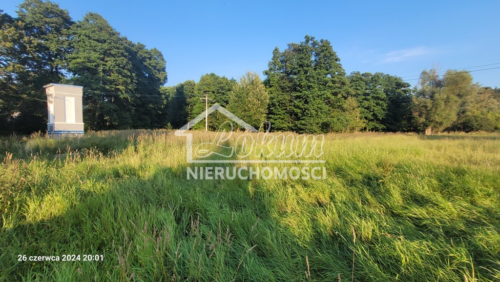 Działka inwestycyjna 4,16&nbsp;ha, Sierakowo - zdjęcie 4