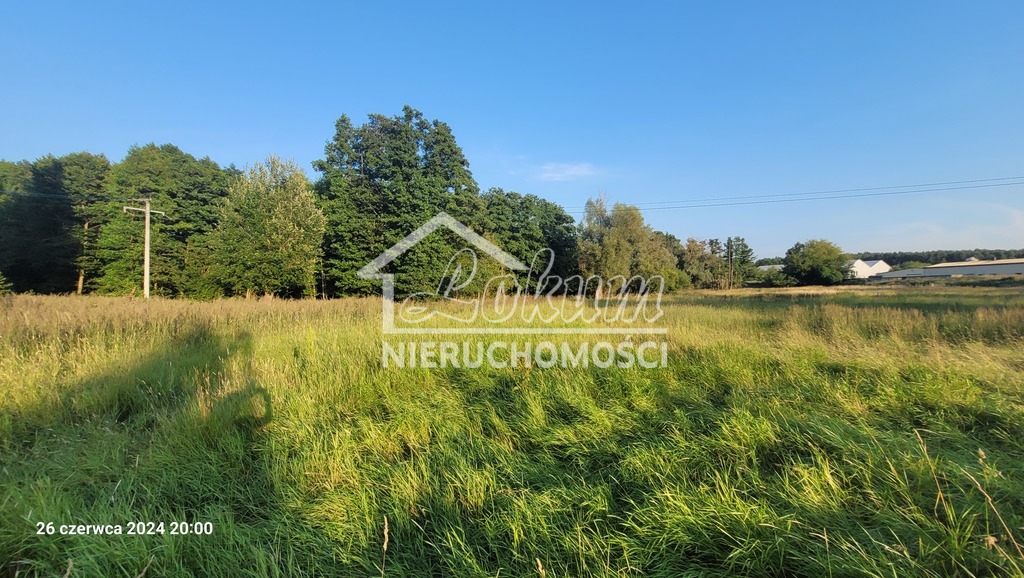 Działka inwestycyjna 4,16&nbsp;ha, Sierakowo - zdjęcie 2