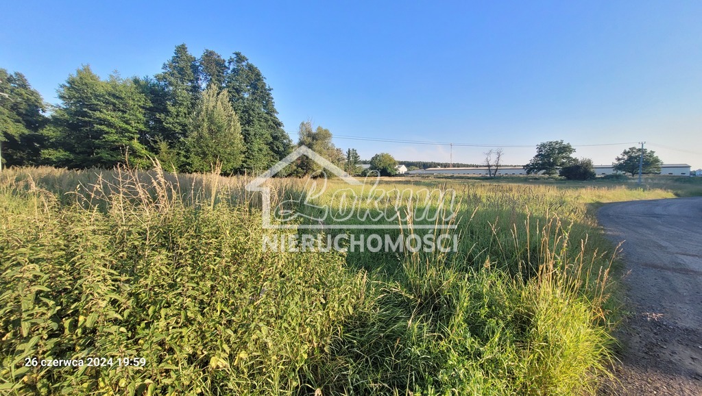 Działka inwestycyjna 4,16&nbsp;ha, Sierakowo - zdjęcie 3