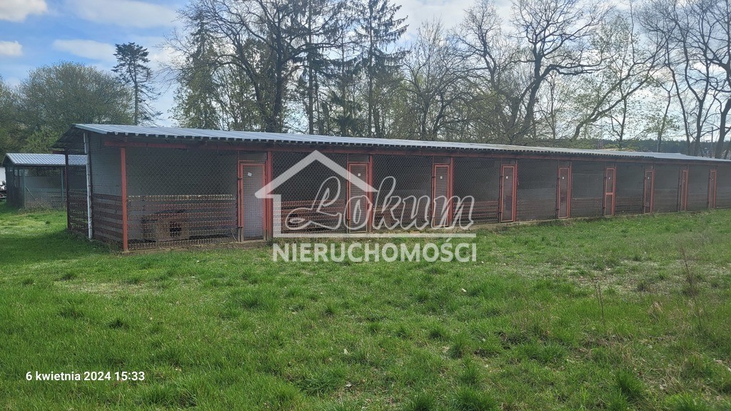 Magazyn na sprzedaż, 1240 m², Sierakowo - zdjęcie 19