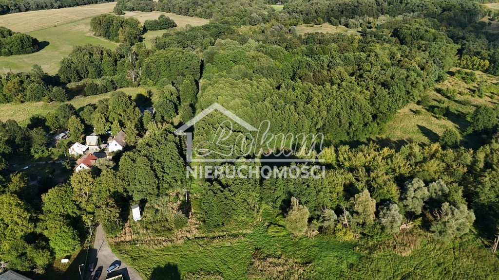 Magazyn na sprzedaż, 1240&nbsp;m², Sierakowo - zdjęcie 4