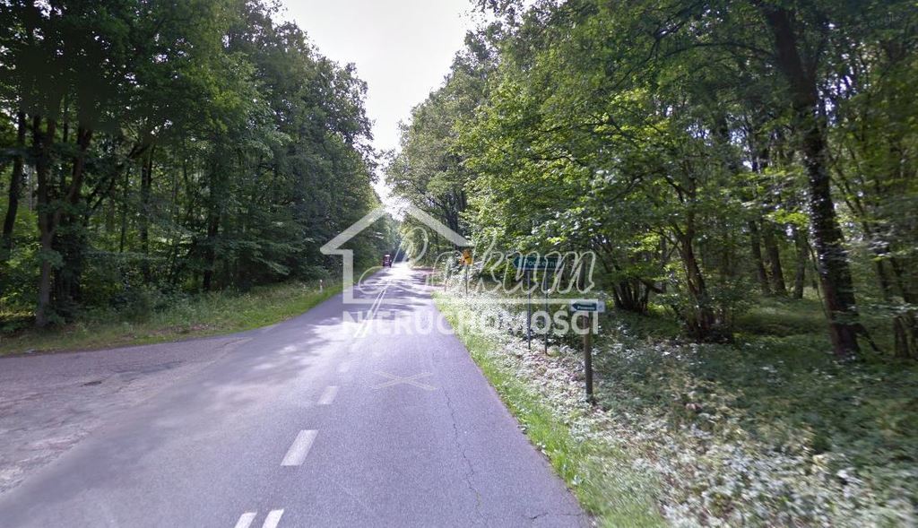 Działka rolna 3395&nbsp;m², Poczernin - zdjęcie 4