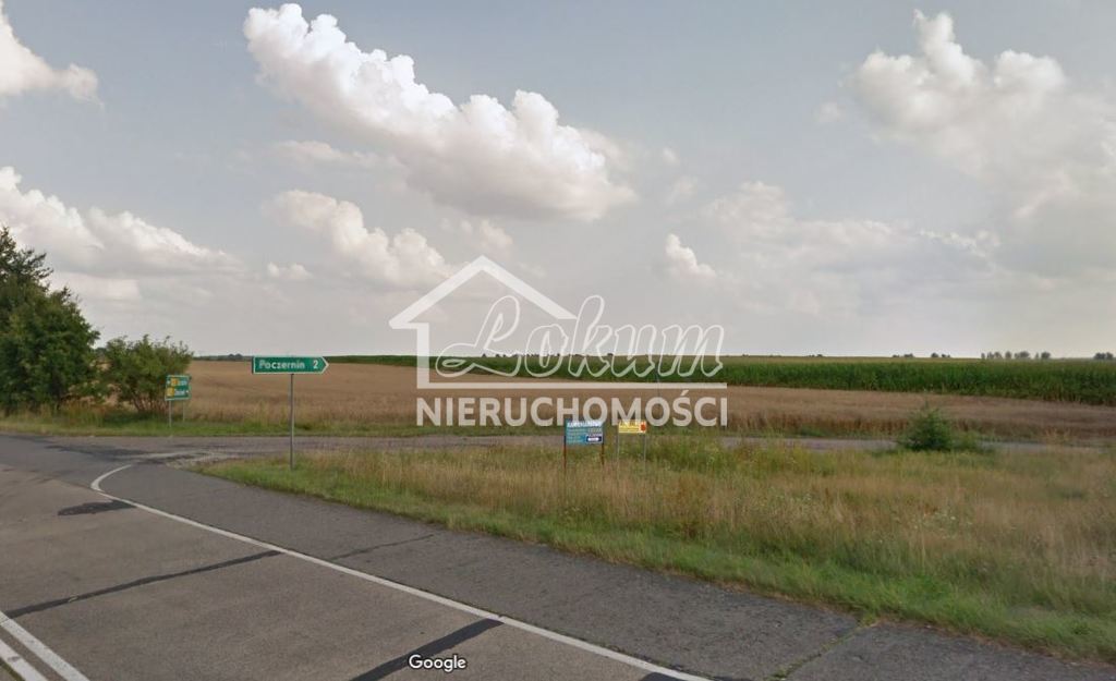 Działka rolna 3395&nbsp;m², Poczernin - zdjęcie 5