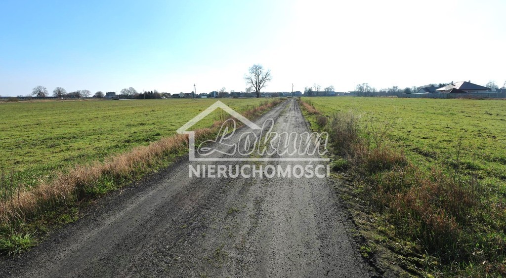 Działka budowlana 3978 m², Lubczyna - zdjęcie 5