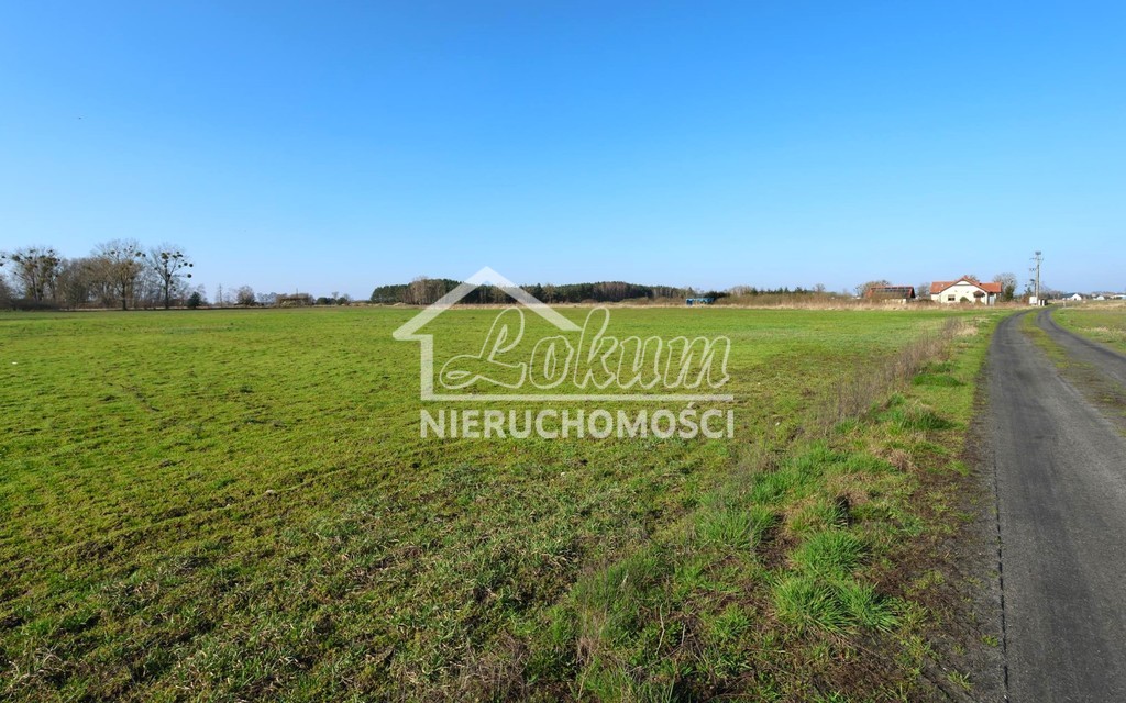 Działka budowlana 3978 m², Lubczyna - zdjęcie 4
