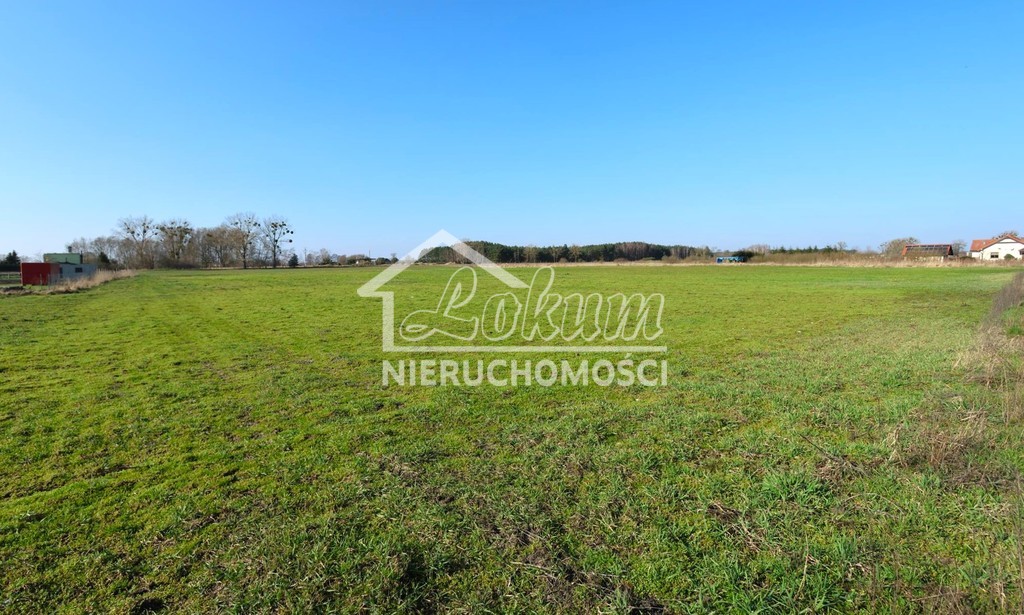 Działka budowlana 3978&nbsp;m², Lubczyna - zdjęcie 2