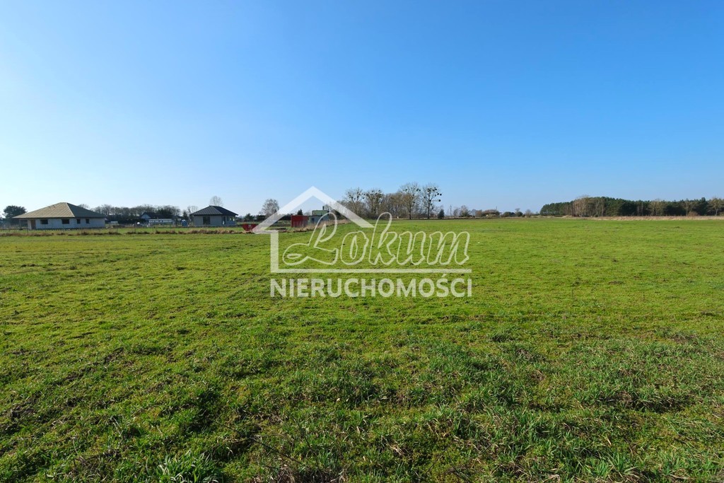 Działka budowlana 3978 m², Lubczyna - zdjęcie 3