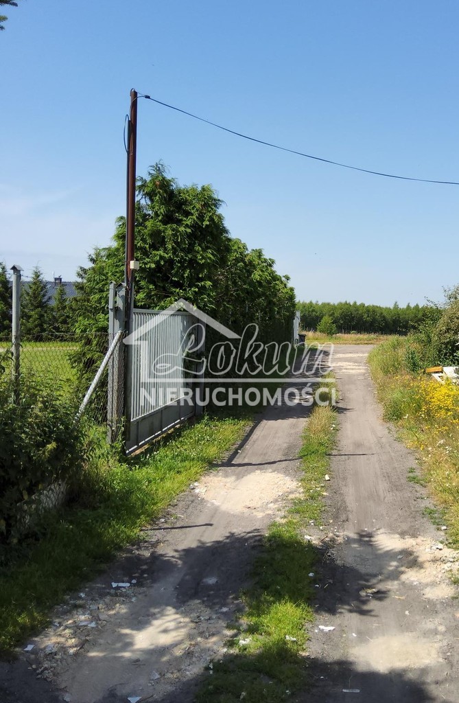 Działka rolna 3000&nbsp;m², Barnisław - zdjęcie 4