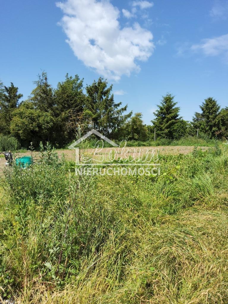 Działka rolna 3000&nbsp;m², Barnisław - zdjęcie 3