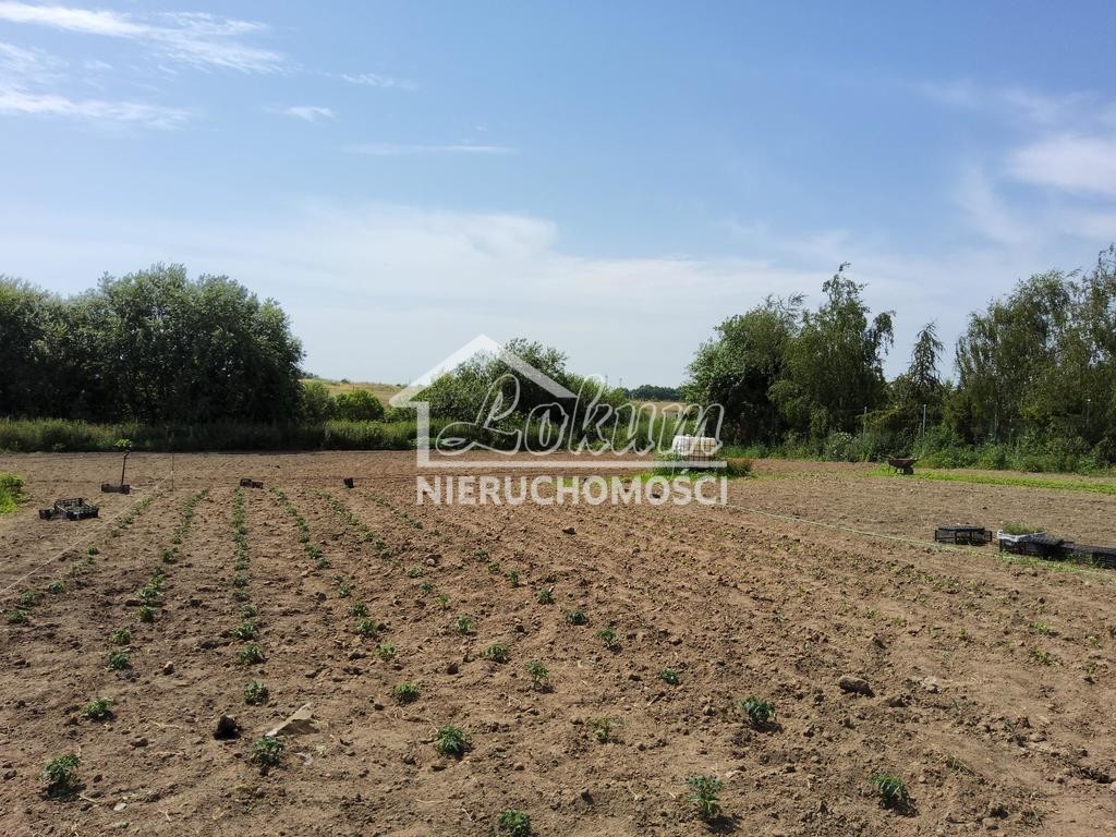 Działka rolna 3000&nbsp;m², Barnisław - zdjęcie 2