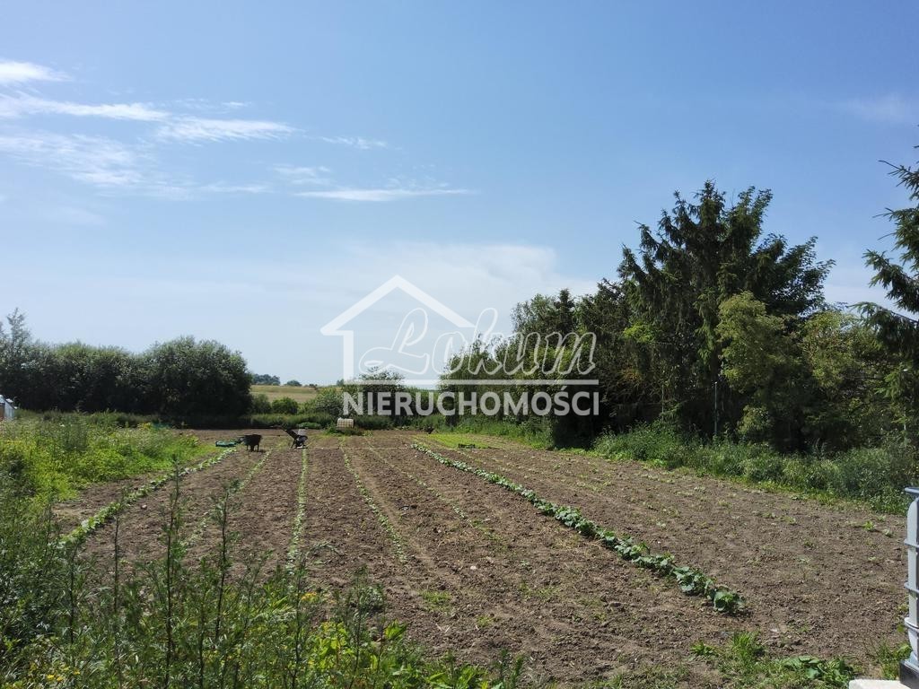 Działka rolna 3000&nbsp;m², Barnisław - zdjęcie 1