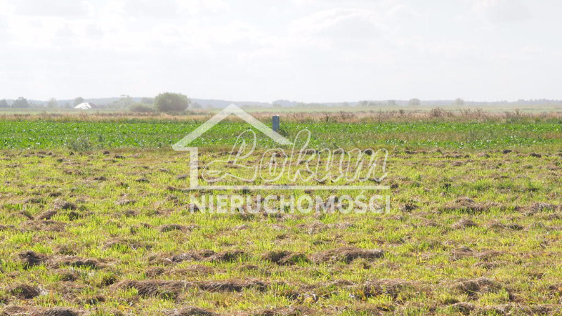 Działka budowlana 1330 m², Śliwin - zdjęcie 2