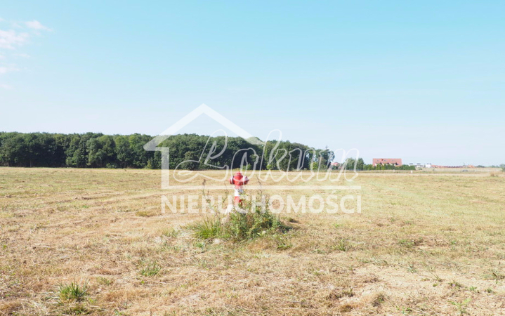 Działka budowlana 1595 m², Śliwin - zdjęcie 1