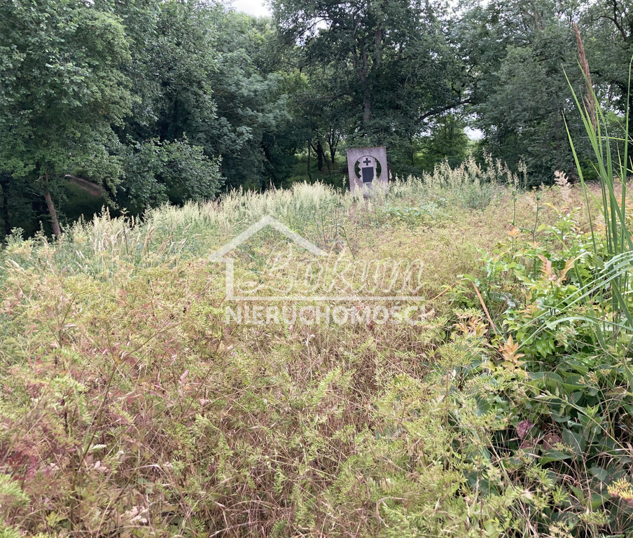 Działka budowlana 1100&nbsp;m², Gozdowice - zdjęcie 8