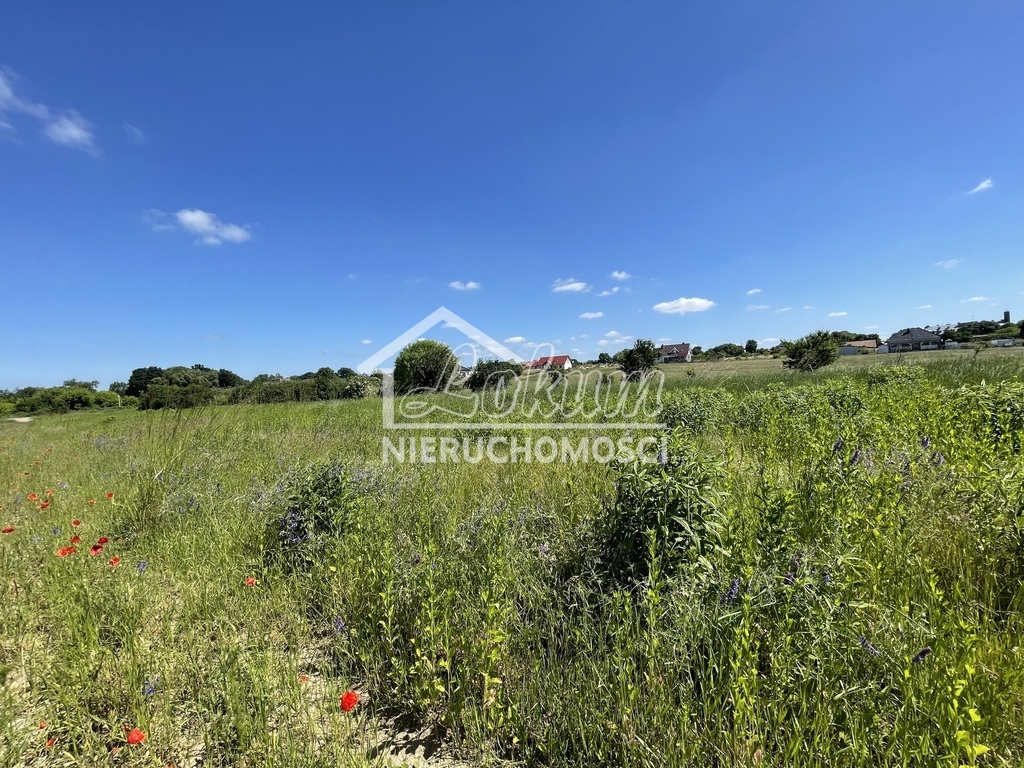 Działka budowlana 1136&nbsp;m², Moryń - zdjęcie 2