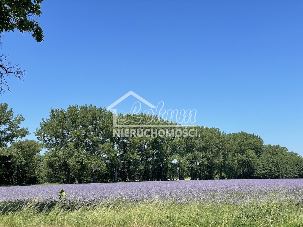 Działka budowlana 1136&nbsp;m², Moryń - zdjęcie 1