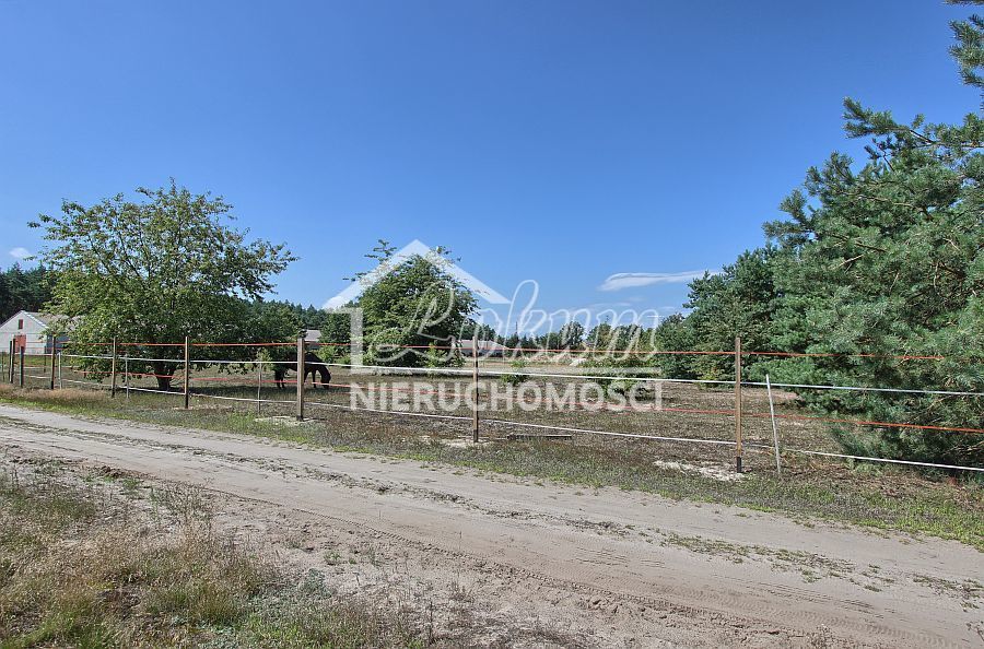 Działka budowlana 1534&nbsp;m², Rurzyca - zdjęcie 4