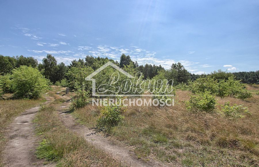 Działka budowlana 1534&nbsp;m², Rurzyca - zdjęcie 5