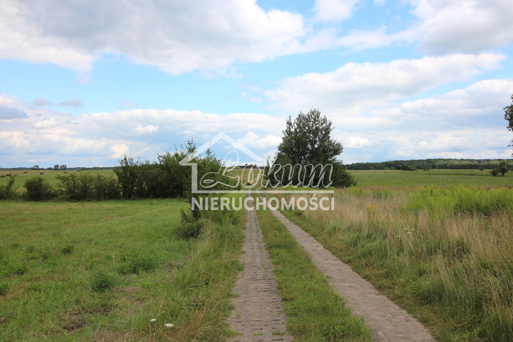 Działka rolna 7700&nbsp;m², Biała - zdjęcie 2