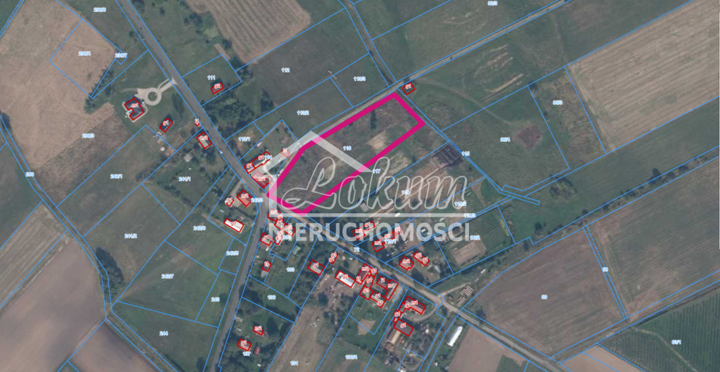 Działka rolna 7700&nbsp;m², Biała - zdjęcie 5