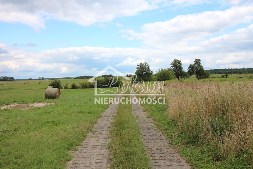 Działka rolna 7700&nbsp;m², Biała - zdjęcie 4