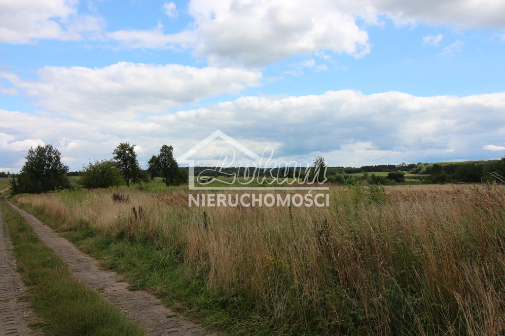 Działka rolna 7700&nbsp;m², Biała - zdjęcie 3