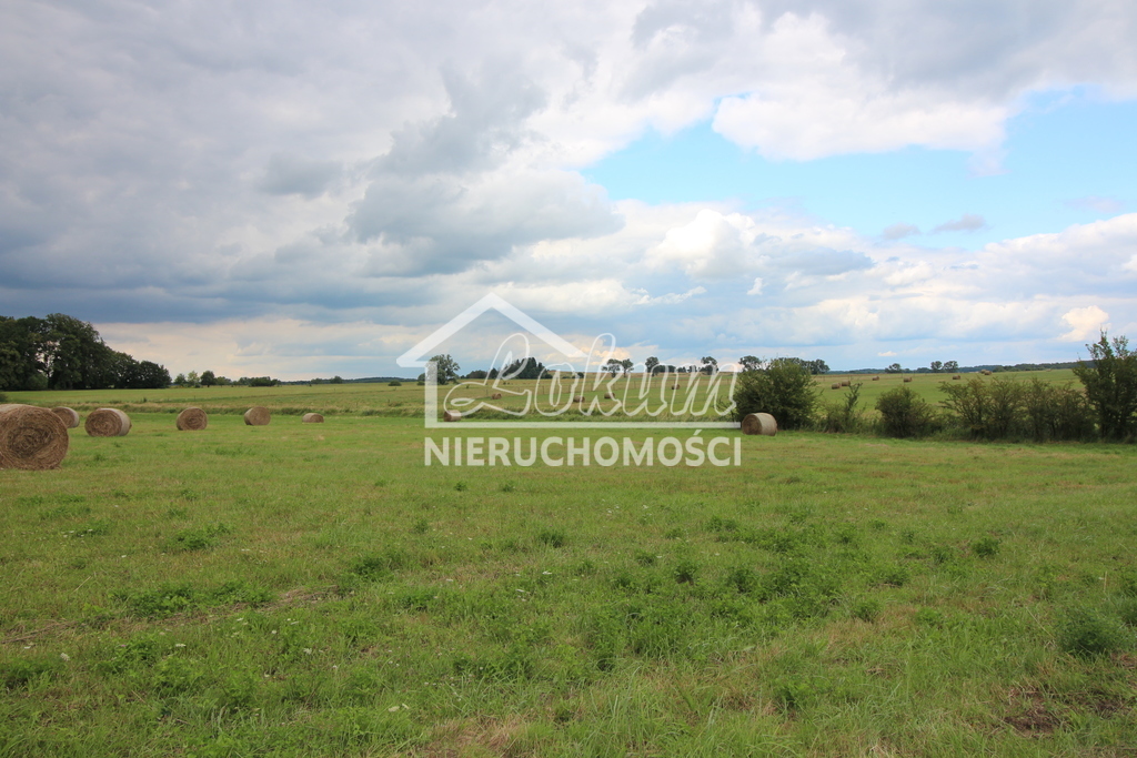 Działka rolna 7700&nbsp;m², Biała - zdjęcie 1