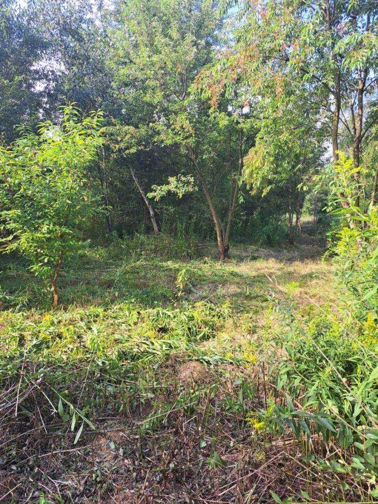 UROKLIWA DZIAŁKA BUDOWLANA, ZIELEŃ, CISZA, DOM - zdjęcie 2