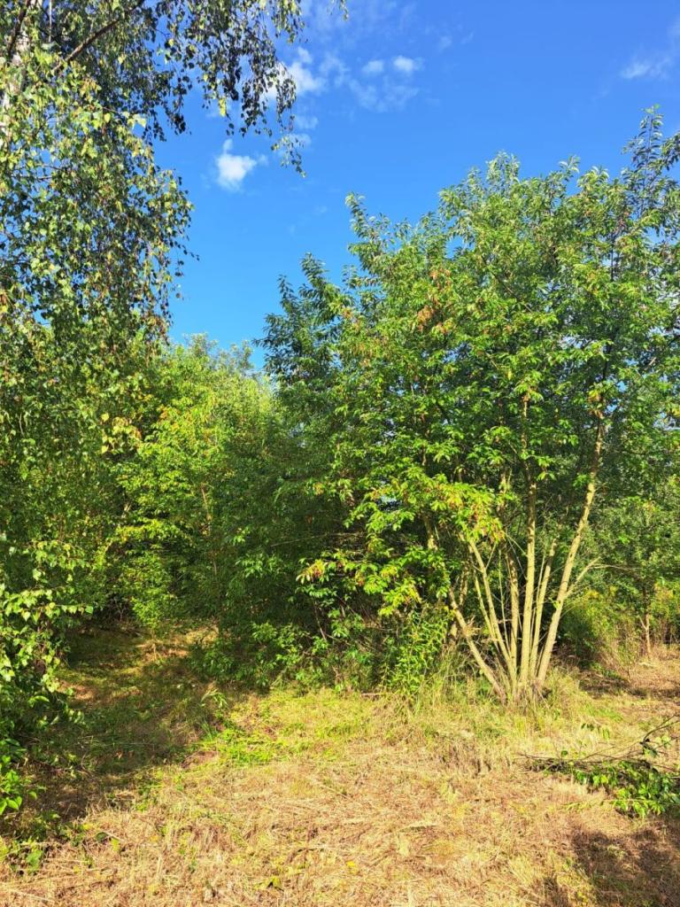 UROKLIWA DZIAŁKA BUDOWLANA, ZIELEŃ, CISZA, DOM - zdjęcie 1