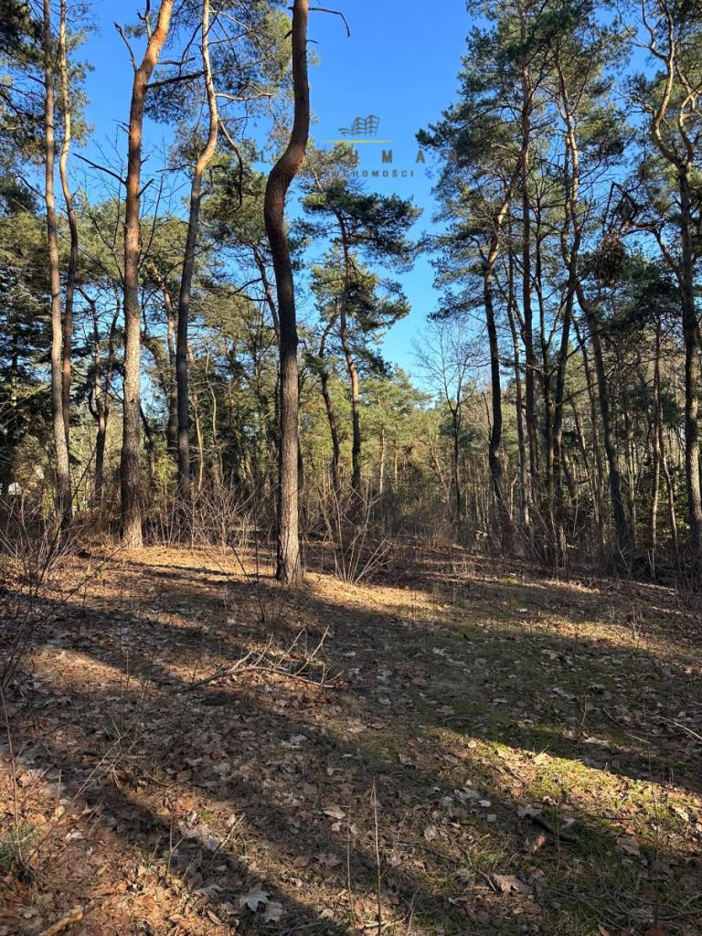 Działka budowlana 1438 m², Grotniki - zdjęcie 1