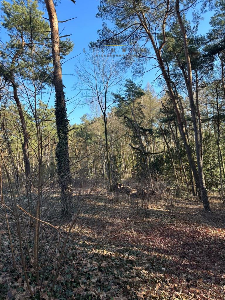 Działka budowlana 1438 m², Grotniki - zdjęcie 2