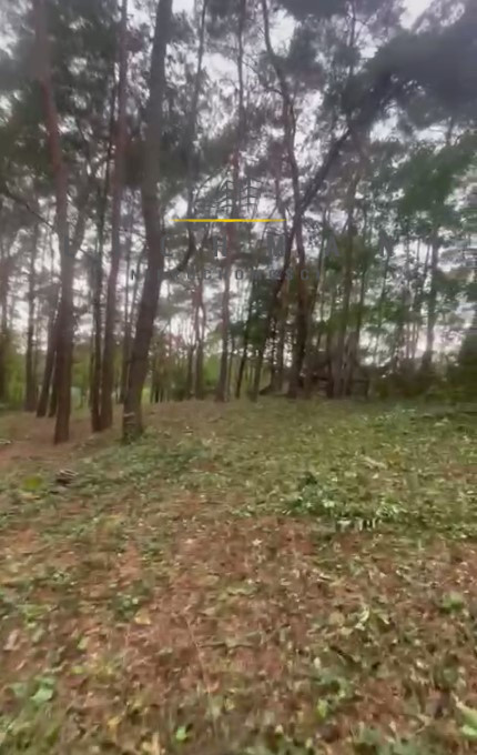 Działka budowlana 1438 m², Grotniki - zdjęcie 3