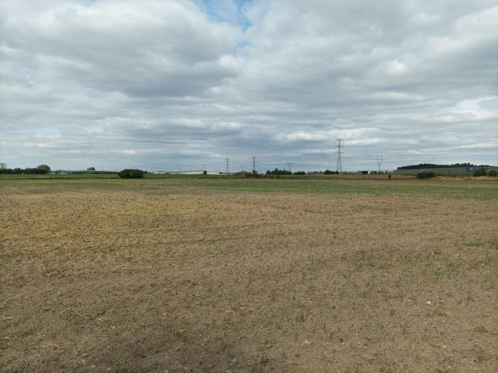 Działka rolna 1,70&nbsp;ha, Swadzim, S11 DK92 - zdjęcie 5