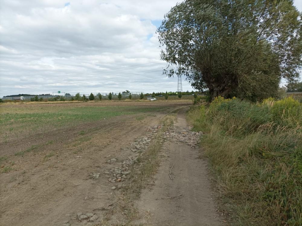 Działka rolna 1,70&nbsp;ha, Swadzim, S11 DK92 - zdjęcie 3