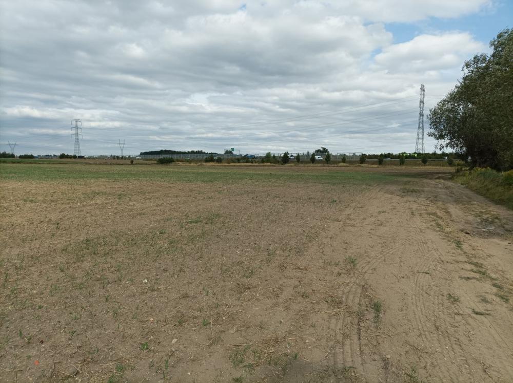 Działka rolna 1,70&nbsp;ha, Swadzim, S11 DK92 - zdjęcie 4