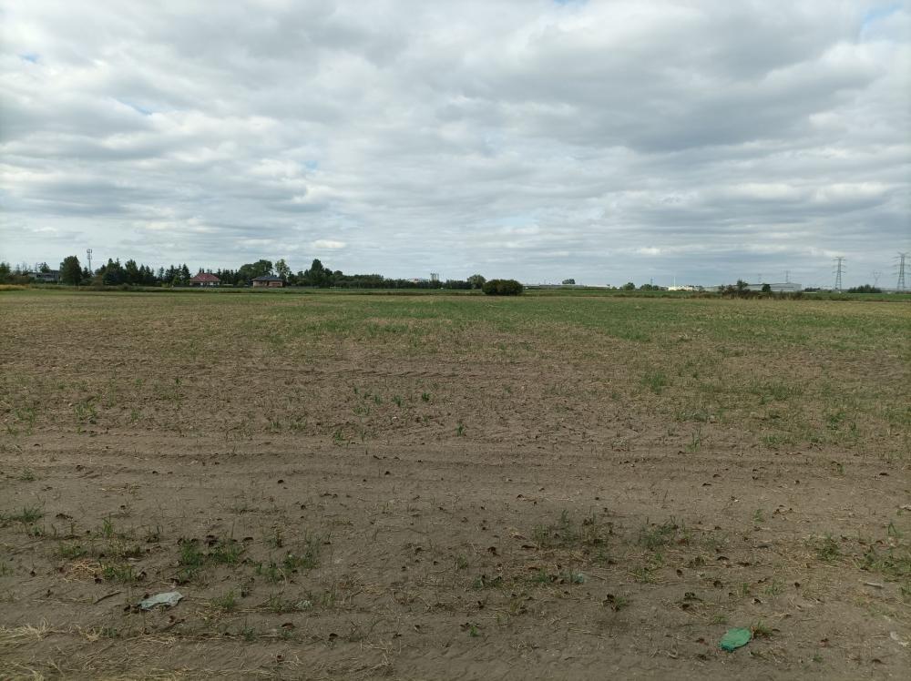 Działka rolna 1,70&nbsp;ha, Swadzim, S11 DK92 - zdjęcie 2