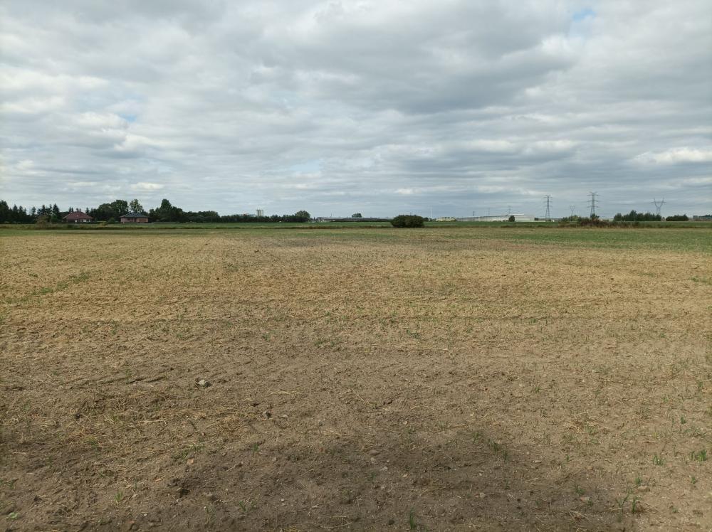 Działka rolna 1,70&nbsp;ha, Swadzim, S11 DK92 - zdjęcie 6