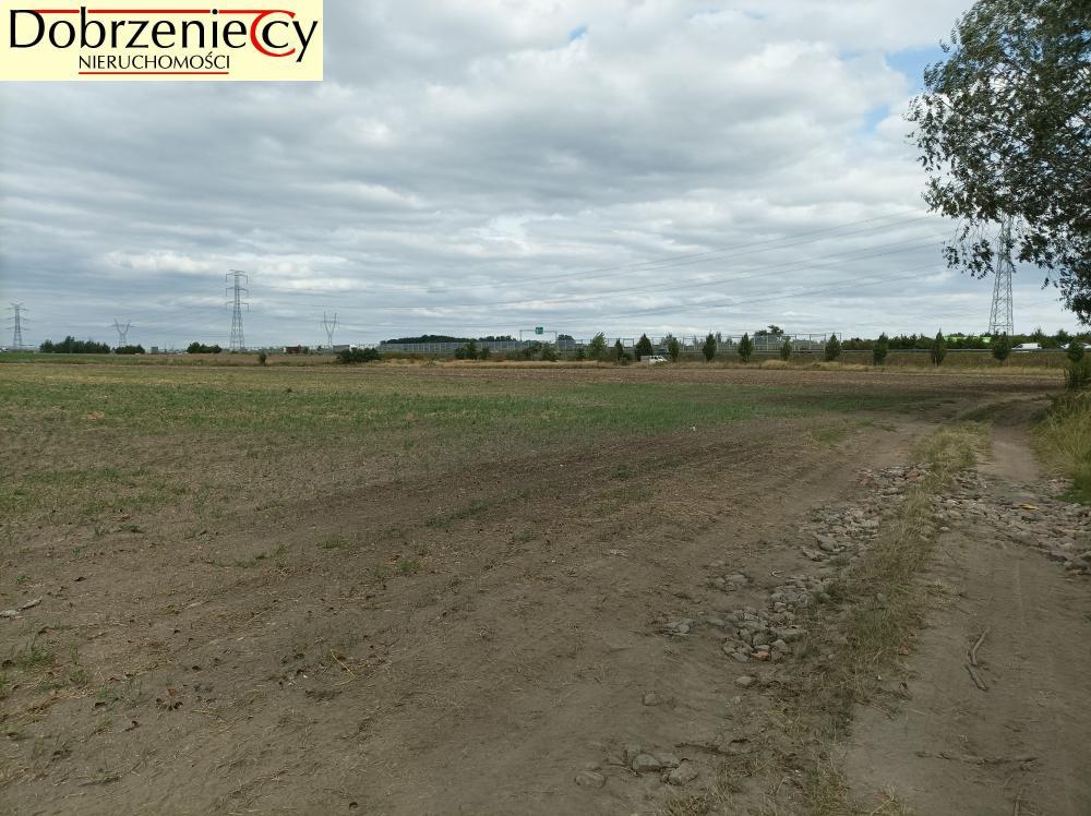 Działka rolna 1,70&nbsp;ha, Swadzim, S11 DK92 - zdjęcie 1