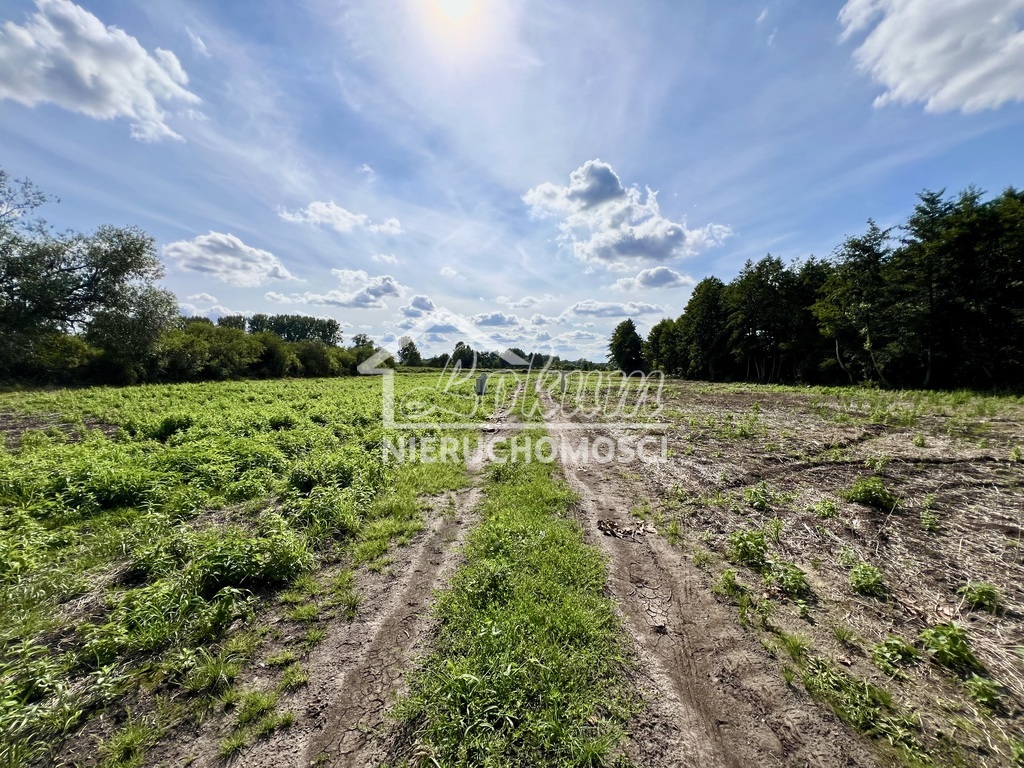 Działka budowlana 1185&nbsp;m², Stare Chrapowo - zdjęcie 12