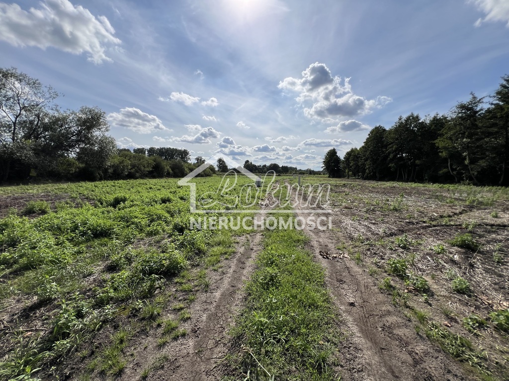 Działka budowlana 1185&nbsp;m², Stare Chrapowo - zdjęcie 13