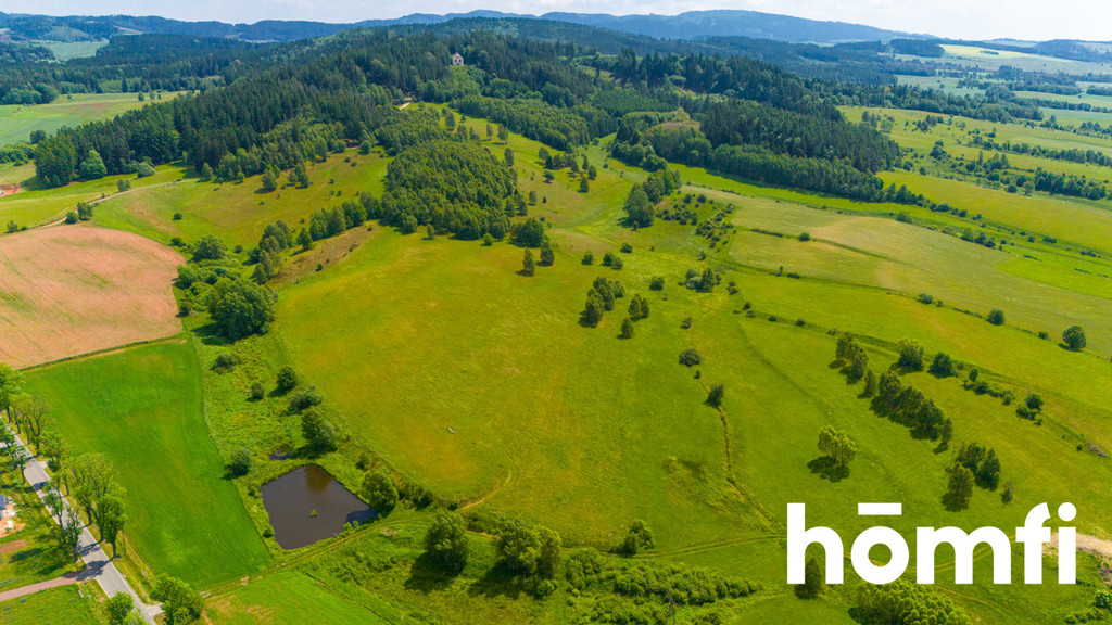 Działka budowlana 4,47 ha, Krzeszów, św. Anny - zdjęcie 5