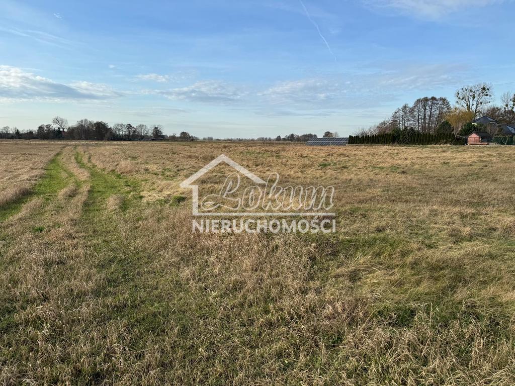 Działka budowlana 1052 m², Lubczyna, Cisowa - zdjęcie 4