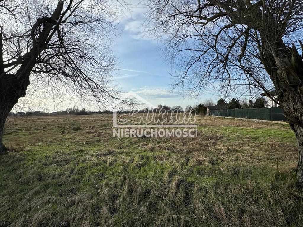 Działka budowlana 1052&nbsp;m², Lubczyna, Cisowa - zdjęcie 5