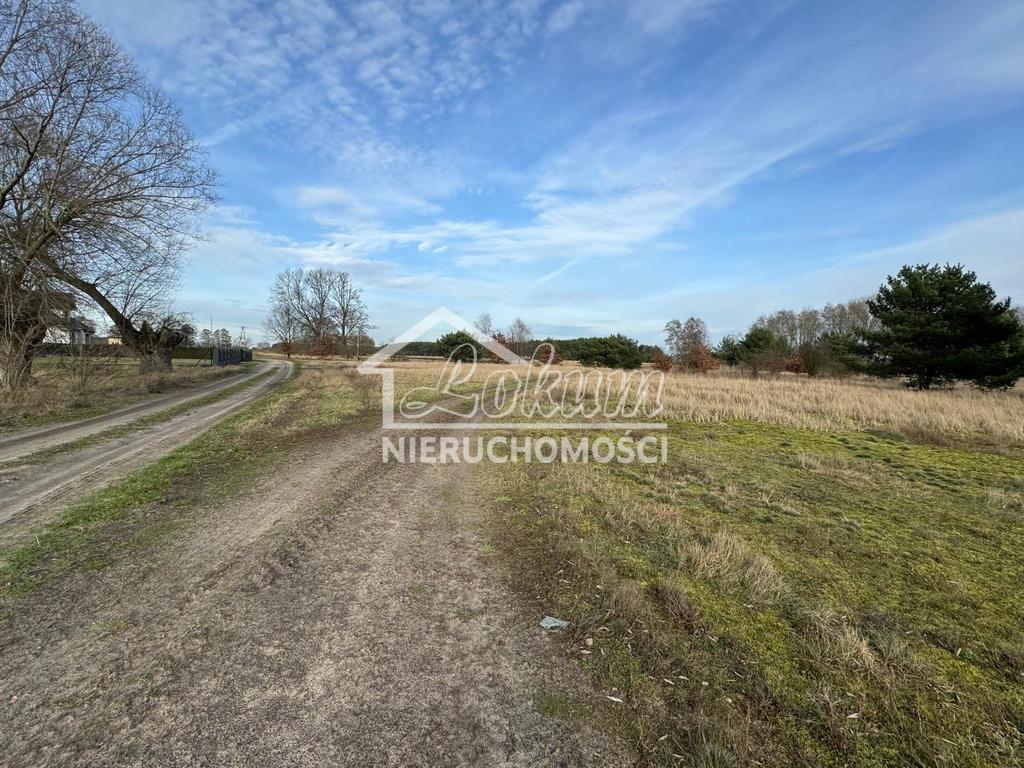 Działka budowlana 1052&nbsp;m², Lubczyna, Cisowa - zdjęcie 9