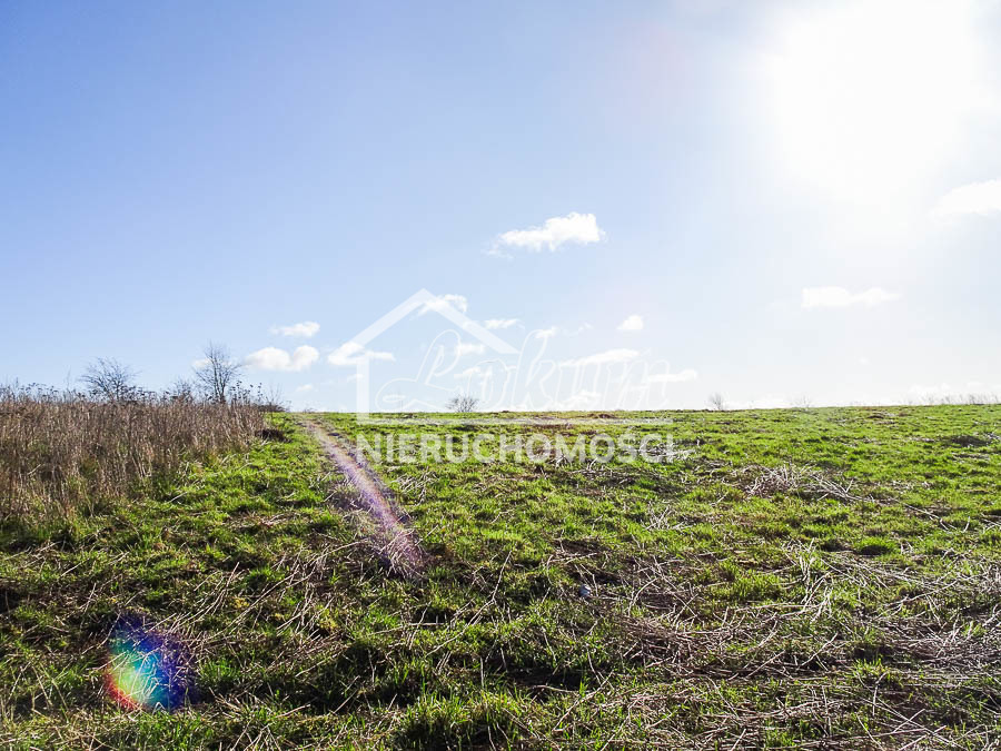 Działka budowlana 2117 m², Dobra - zdjęcie 2