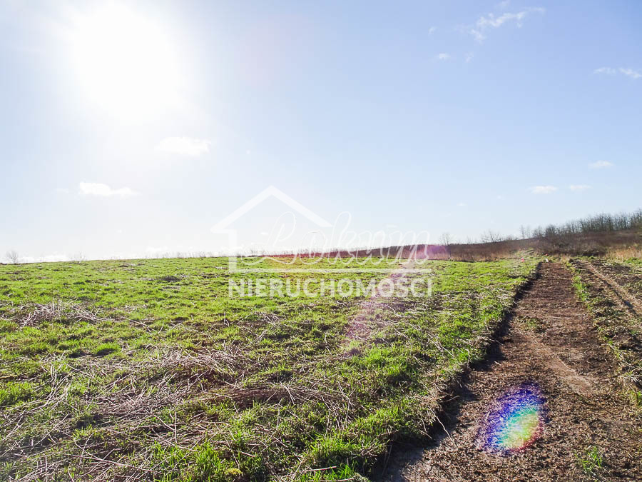 Działka budowlana 2117&nbsp;m², Dobra - zdjęcie 4