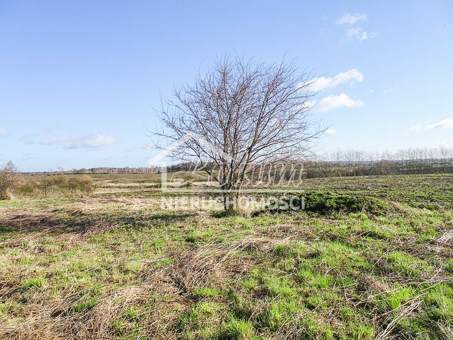 Działka budowlana 2117&nbsp;m², Dobra - zdjęcie 18