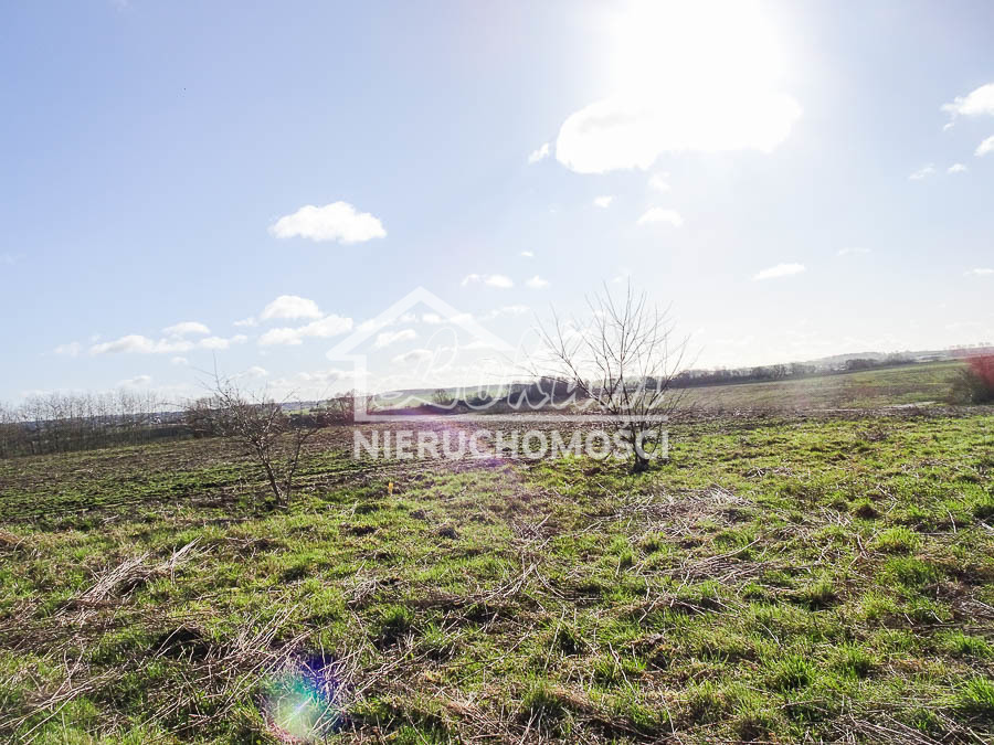 Działka budowlana 2117&nbsp;m², Dobra - zdjęcie 19